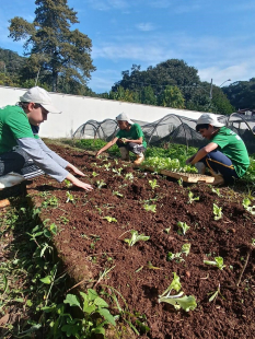 Encerramento Programa Viver Bem na Escola- Filial Meio Oeste