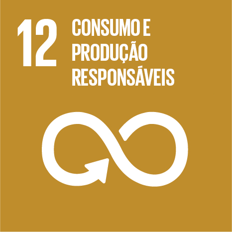 12- Consumo e Produção Responsáveis