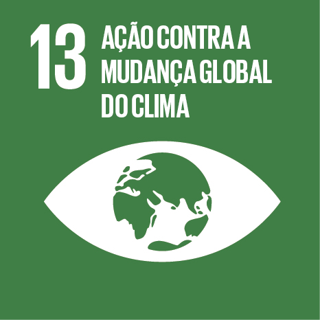 13- Ação Contra a Mudança Global do Clima