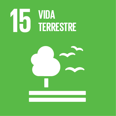 15- Vida Terrestre