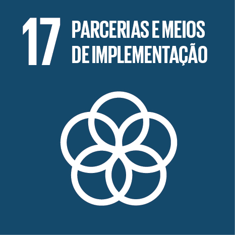 17- Parcerias e Meios de Implementação
