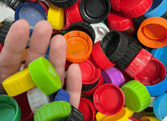 Filial Caçador lança projeto “Tampinhas do Bem” para apoiar castração animal